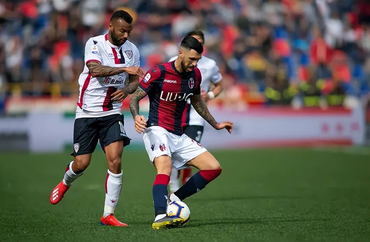 2025年排名赛冠军得主